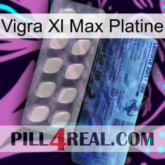 Vigra Xl Max Platinum 34